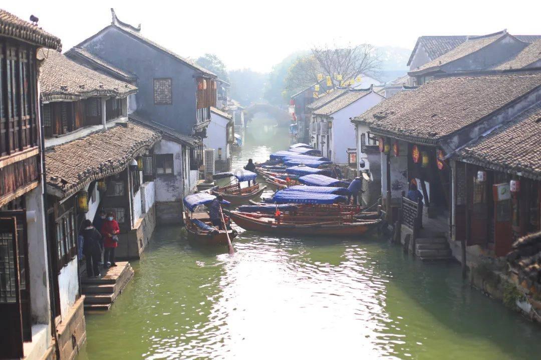 白孔雀救援